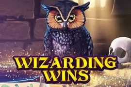Wizarding Wins